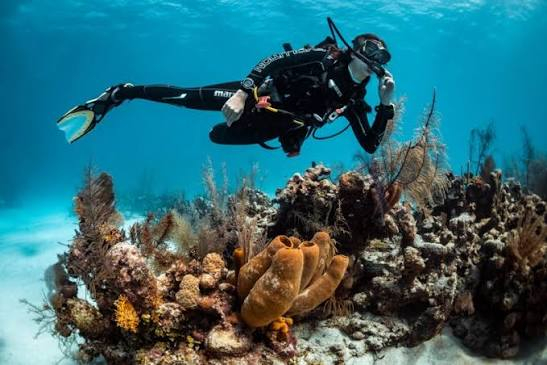 Scuba Diving